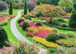 9 helyszín, ahol tavaszi virágokban gyönyörködhettek