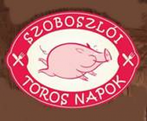 Szoboszlói Toros Napok, 2019. március 15-17.