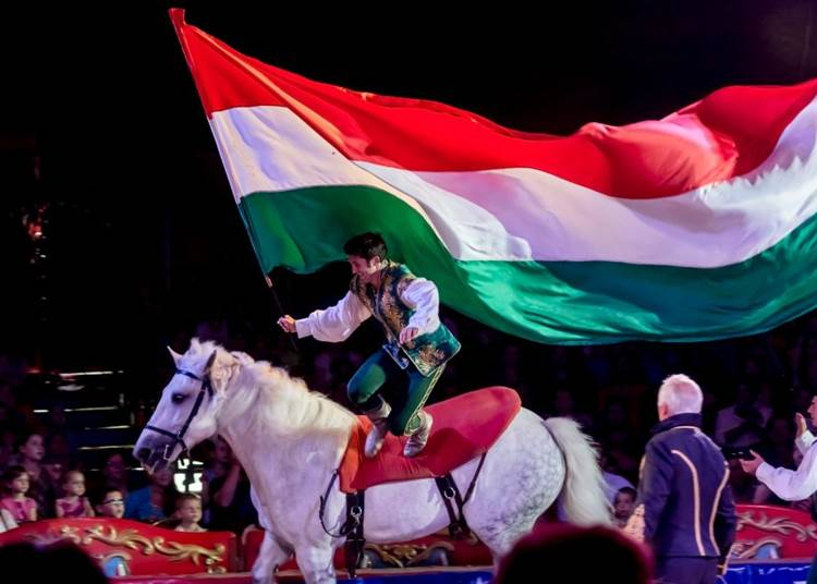 Két év után országos turnéra indul a Magyar Nemzeti Cirkusz