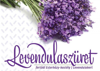 A fertődi Esterházy-kastély levendulakertje