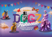 DOGZ farsangi falkaséta 2026-ban