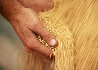 Azonnali kihívások az agráriumban - A takarmányár-robbanás és ami mögötte van, 2021. április 20.