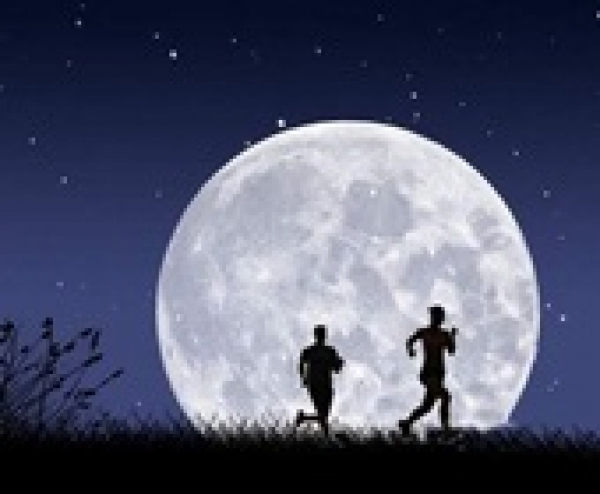 4. Moonlight Run, 2019. június 14.