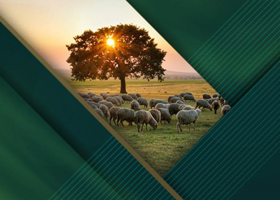 Agrárszektor Konferencia - 2019. december 4-5.