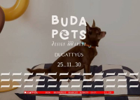 BudaPets Design Market, 2025. november 30.