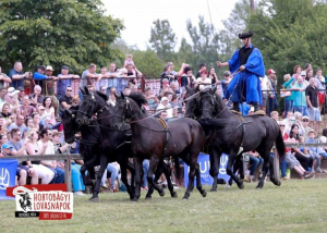 Hortobágyi lovasnapok: hatszáz lovas áll a rajhoz - 2022. július 15-17.