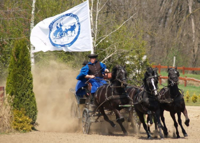 „Nyitott kapuk” a Lázár Lovasparkban