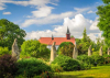 Aukciós festményvásár a Kecskeméti Arborétum fejlesztéséért