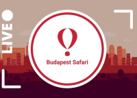 Ismét jön a Startup Safari Budapest, 2024. június 11