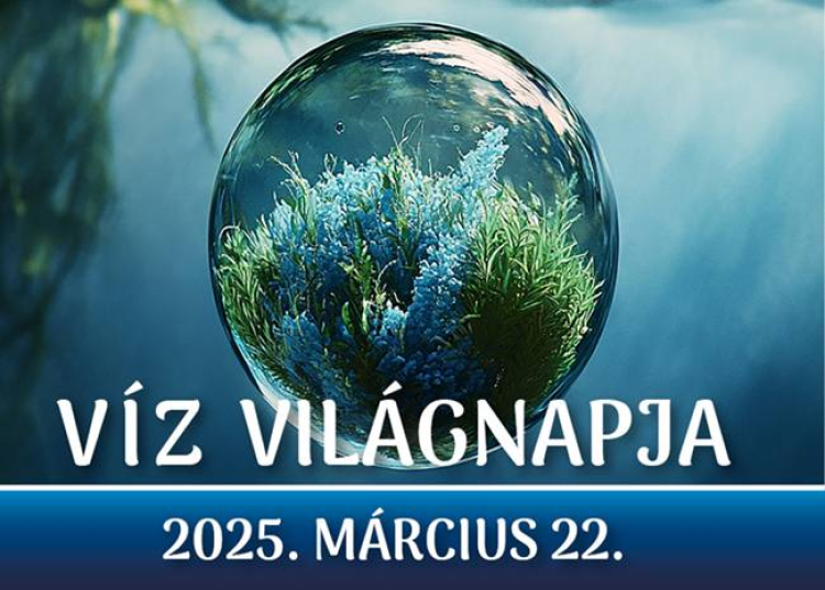 A víz világnapja 2025 - Ingyenes séták és különleges programok a budapesti fürdőkben