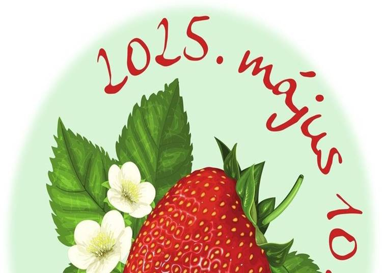 Szamócás Vásári Forgatag, 2025. május 10.