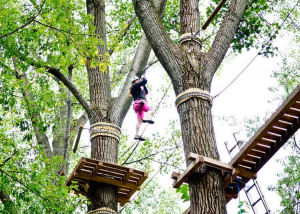 Szeged, Tiszaparti Élmény és Kalandpark