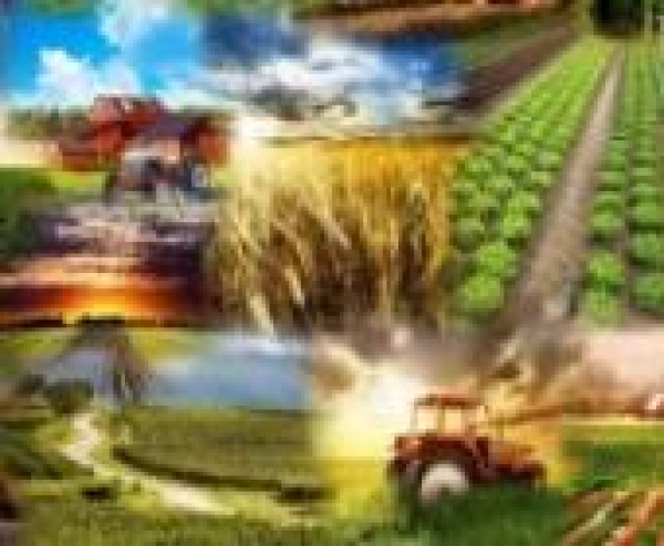 AGRA Nemzetközi Mezőgazdasági és Élelmiszeripari Vásár, 2017. augusztus 26-31.