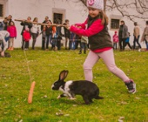 Tojás- és Nyúlfutam 2019, Siófok, 2019. április 21.