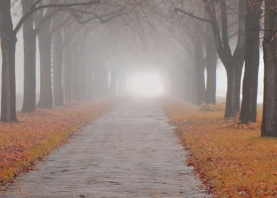 Igazi novemberi ősz lesz a héten: éjjel már fagyra is számítani kell