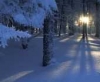 Tajga Trail, 2018. február 17.