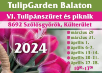 VI. Tulipánszüret és Piknik, TulipGarden Balaton