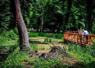 Elkészült a tanösvény és a lombkoronasétány a Hévízi-tónál
