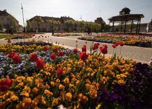 Újra megtartják a Tavaszi Művészeti Fesztivált Nagykanizsán