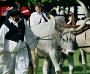 XXVI. Alföldi Állattenyésztési és Mezőgazda Napok, 2019. május 9-11.