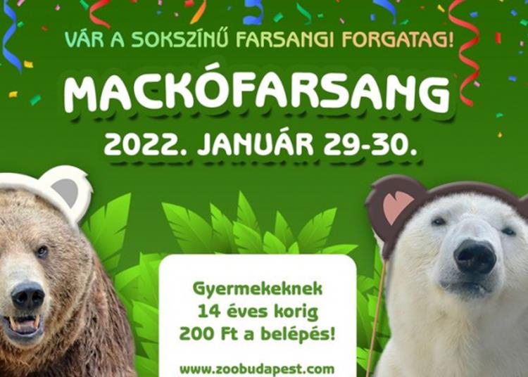 Mackófarsangi a Fővárosi Állatkertben, 2022. január 29-30.