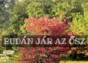 Színpompás őszi séta a Budai Arborétumban, 2023. november 12.